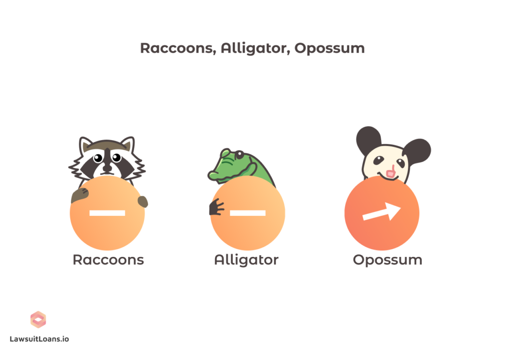 Lawsuit loans popularity in states where raccoons, alligators, and opossums are legal